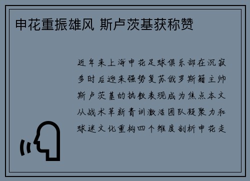 申花重振雄风 斯卢茨基获称赞